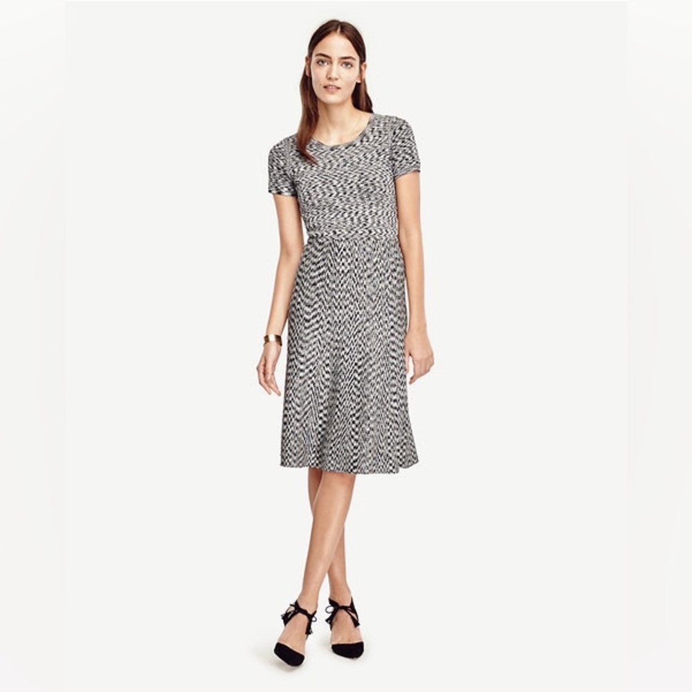 Ann Taylor Black and White Midi Dress